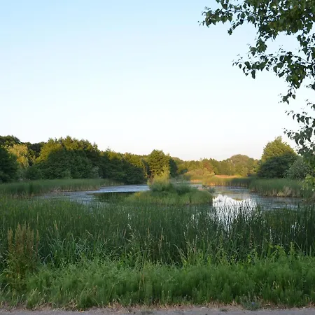 Апартаменты Blue Mandarin Seaside With Ac