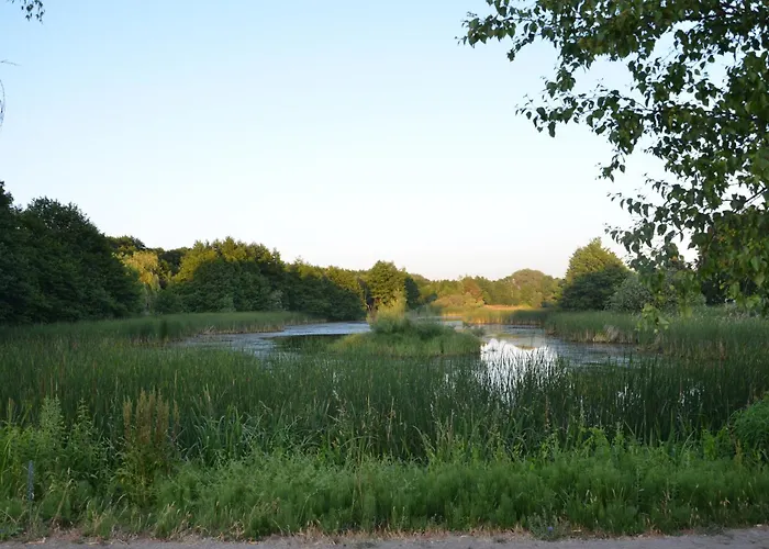 Apartment Blue Mandarin Seaside With Ac